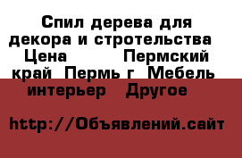 Спил дерева для декора и стротельства › Цена ­ 400 - Пермский край, Пермь г. Мебель, интерьер » Другое   